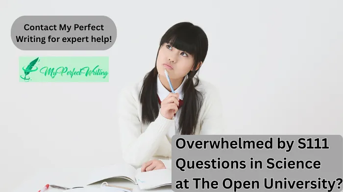 Academic Writing Excellence