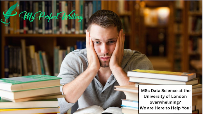 Academic Writing Excellence