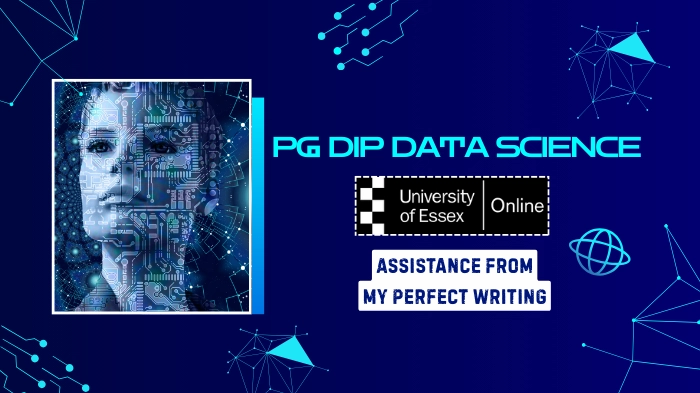 Why Do PG Dip Data Science Students at the University of Essex Online Struggle to Explain and Structure Their Data Science Assignments?
